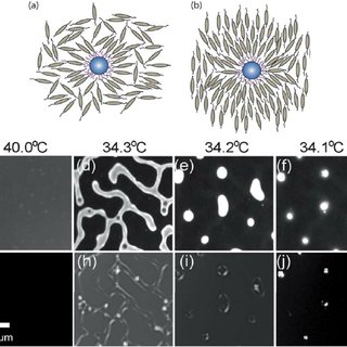 nano particle and quantum dot doped nematic
